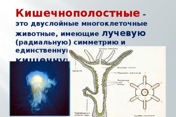 Как зайти на кракен тор